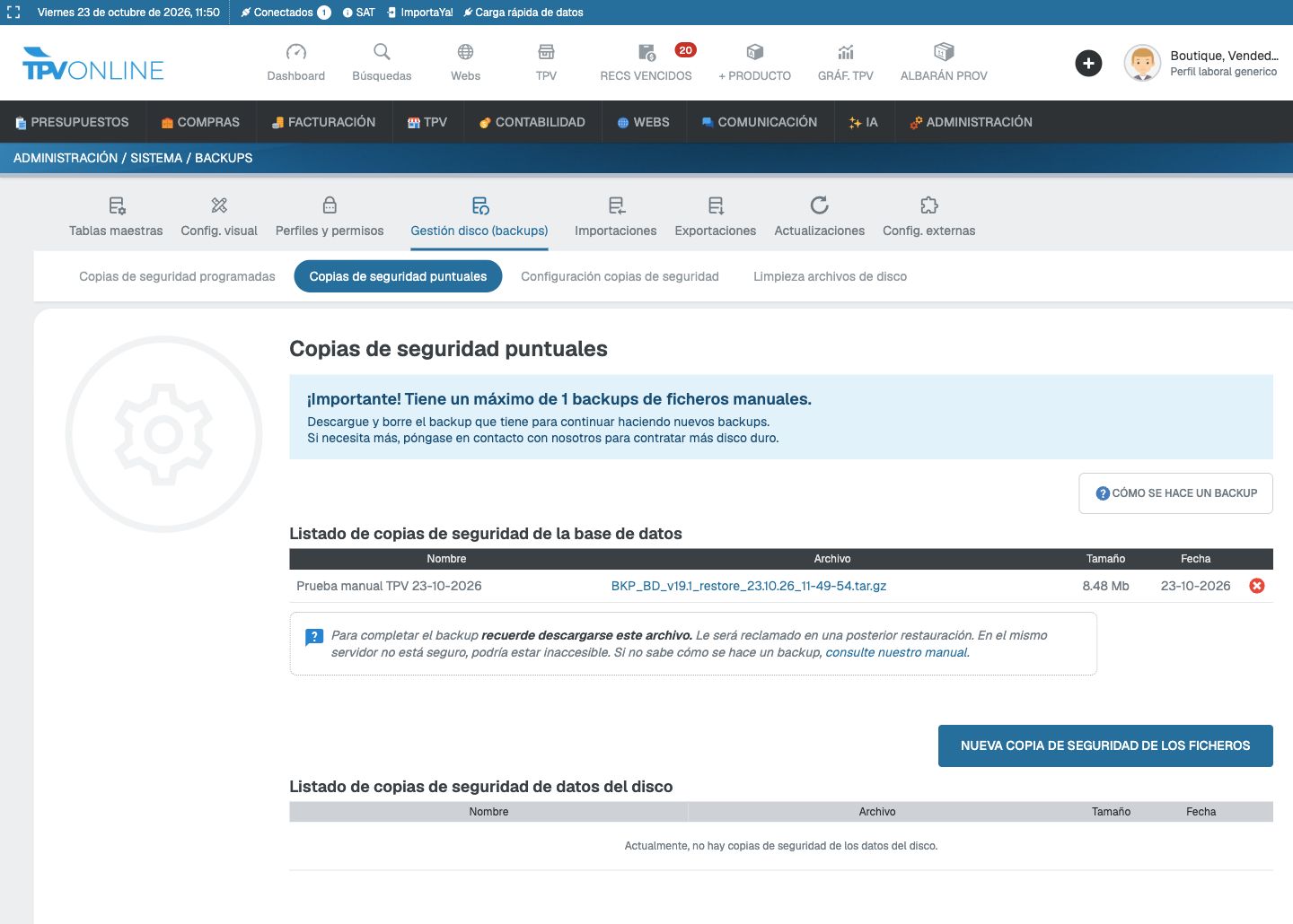 Pantalla de copias puntuales con una copia de base de datos creada, su archivo descargable y el botón de copia de ficheros